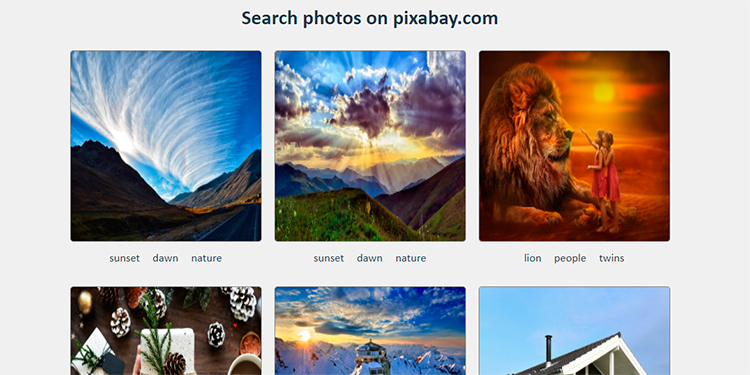 Search Photos